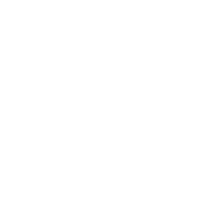 iOS icon